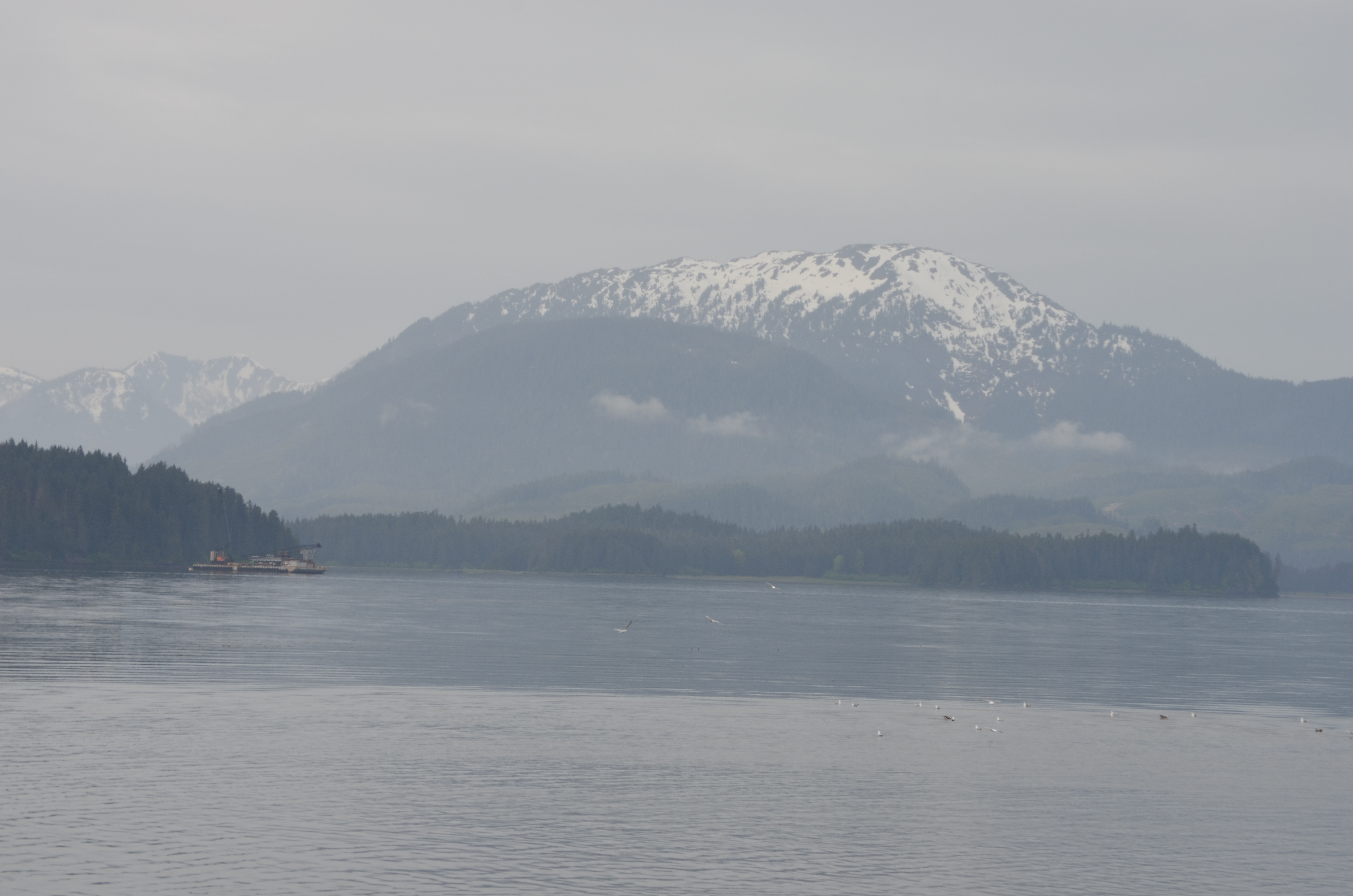 ./2017/08 - Alaska Cruise/10 - Icy Strait Point/DSC_0232.JPG